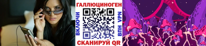 Псилоцибиновые грибы Psilocybe  купить  цена  это телеграм  Вяземский 